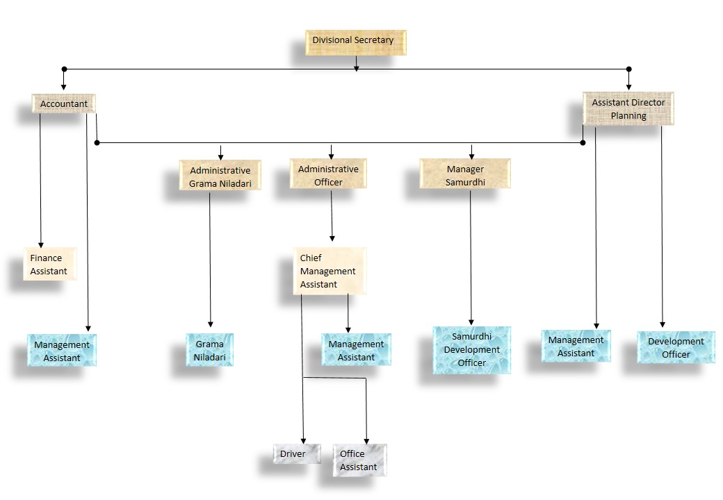 Organi Chart ENG